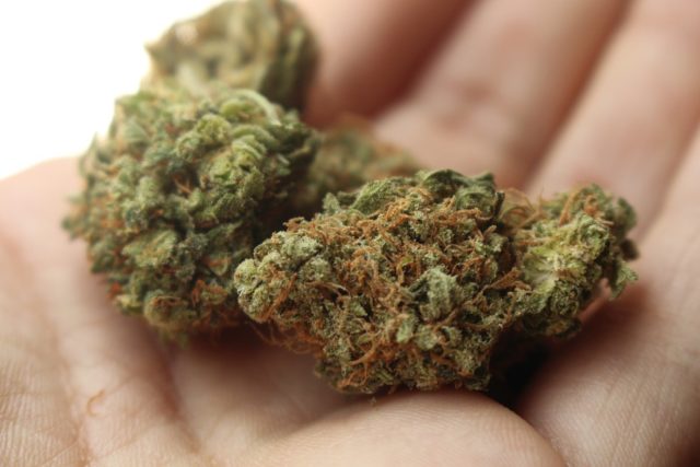 How Smoking Weed Can Help You Lose Weight