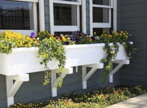 Best Window Boxes and Planters
