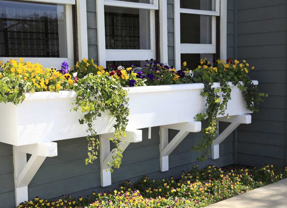 Best Window Boxes and Planters