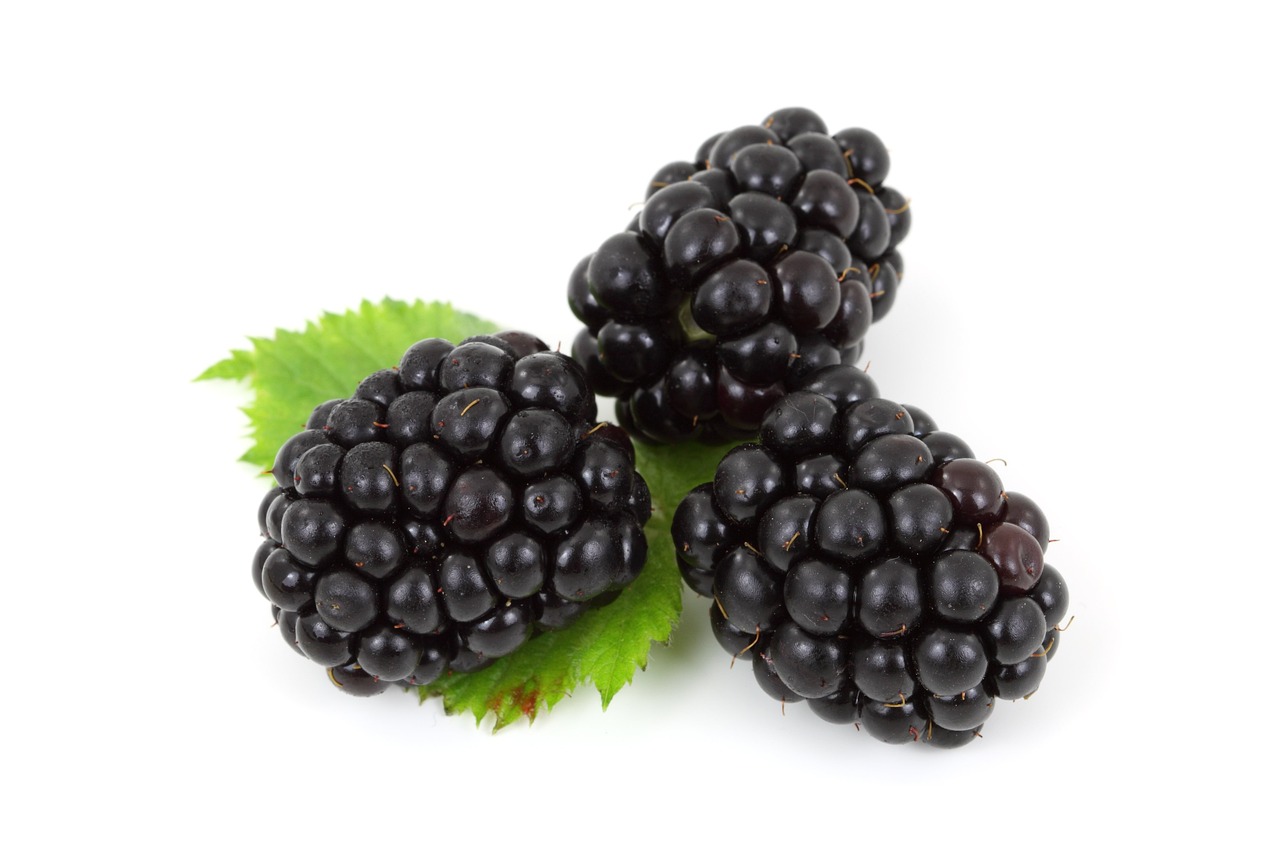 Blackberries - Nutritional Facts, Health Benefits, Uses, and Side effects - Great Healthy Habits