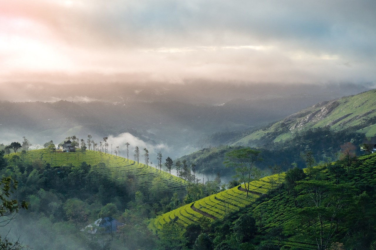 Top 15 Best Places To Visit In Munnar, Kerala - Great Healthy Habits